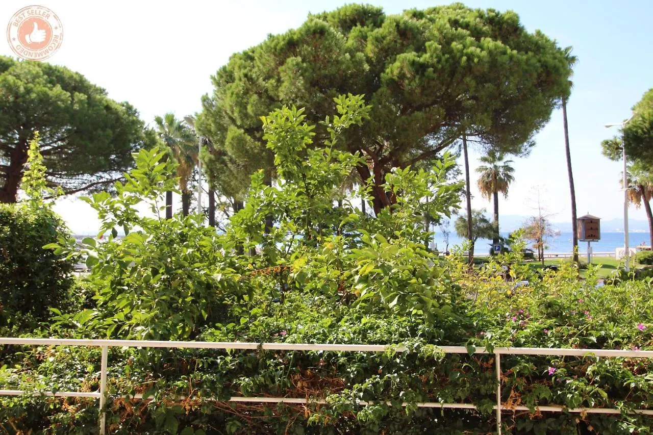 Cannes Croisette Alc 119 La Croisette Apartment France
